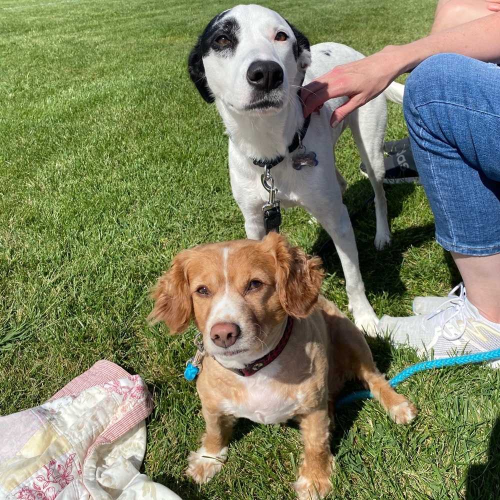 Meet your Posher, Lily